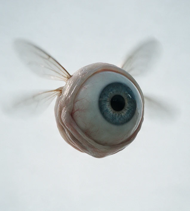 A winged eyeball floating against a white background
